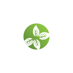 Leaf  ecology Logo Template vector