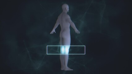  Male Body Scan 4K