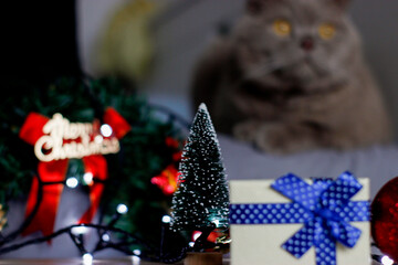 christmas tree decorations with cat