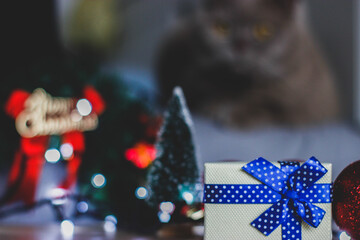 christmas tree decorations with cat