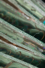 Broken CD Cut Up To Make Abstract Holographic Background