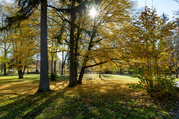 Kurpark Bad Dürrheim im Herbst