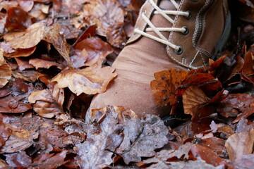 Schuh in Herbstblättern