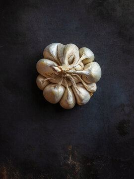 garlic head