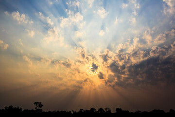 The sky has a line of trees in front of the sun through the clouds.
