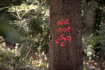 Baumstamm mit roter Aufschrift 