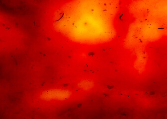 Texture of barbecue sauce or ketchup with herbs close up. Top view. Free copy space for text.