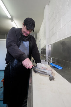 Fishmonger filleting fresh fish