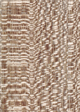Macro photo of wood cross section Wood grain texture background