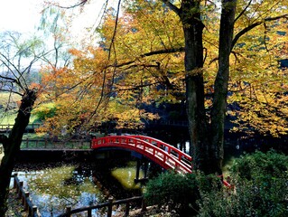 秋の風情　赤い橋　紅葉　風景