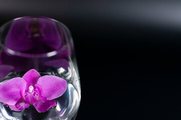 The purple Orchid flower is in an empty wine glass.