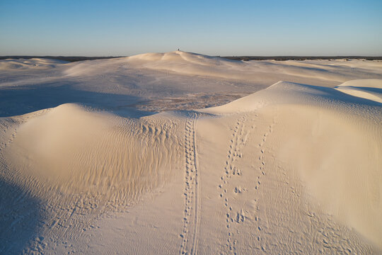 Sand Dune Landscape In Sunset Light