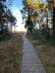 Natur Idylle am Fuße des Wendelsteins (Sterntaler Filze)