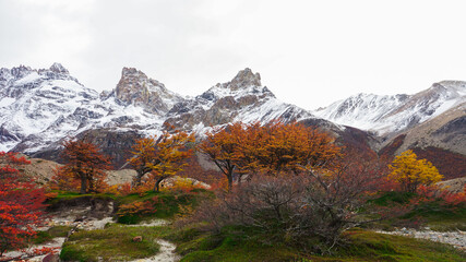 Fototapeta premium Fall in Patagonia