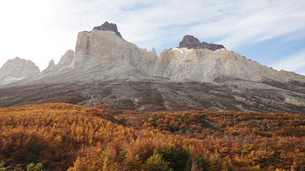 Fototapeta premium Fall in Patagonia