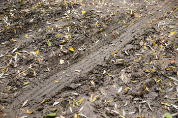 Obraz premium mud with autumn leaves with traces of wheels