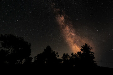 Orange Milky way and stars in the night with tree silhouettes 
