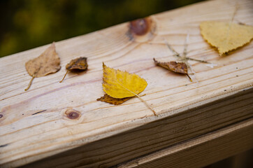 
autumn leaves on a wooden railing