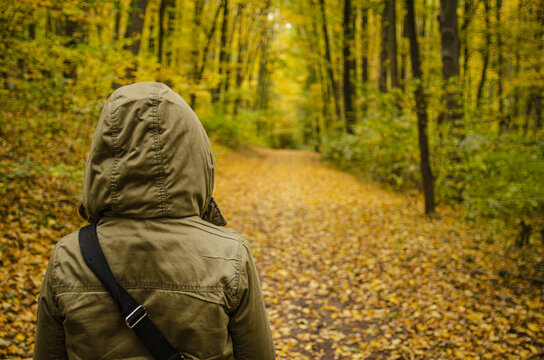 a hooded green figure standing in an autumn forest - Powered by Adobe