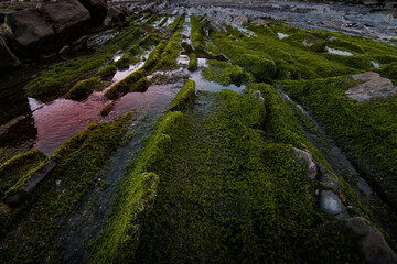 Beaches and stone-fold cliffs in the Spanish Basque Country