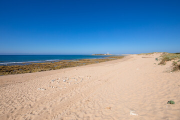 landscape of wild Varadero Beach and Trafalgar Cape in Cadiz