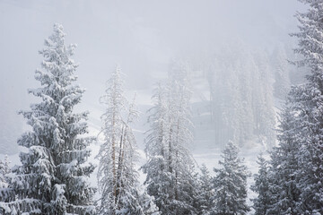 Allphotokz Chimbulak 20170124 5660 D810 S