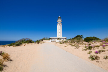 Fototapeta na wymiar lonely dirty road with sand to the lighthouse of Trafalgar