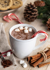 Cup of Hot Chocolate With Candy Cane