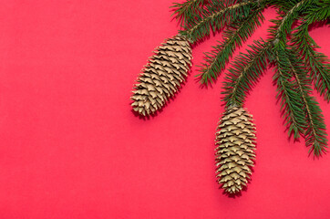 Natural spruce tree branch with a fir cone and Christmas decorations on a red background. Merry christmas and New Year. A minimalist composition, celebration and giving gifts. Copy space, flat lay.
