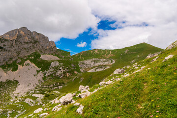 summer mountains green grass and blue sky landscape near achensee in austria, europe alps in cloudy day