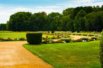 Margaret Island in Budapest. Hungary.