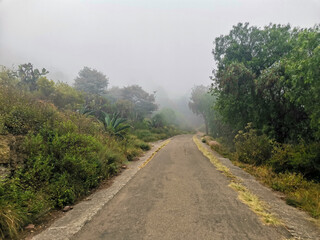 Fototapeta na wymiar road in the fog in the mountain 