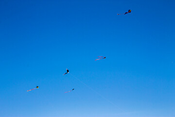 Naklejka na ściany i meble Colorful flying kite fly in the blue sky