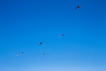 Colorful flying kite fly in the blue sky