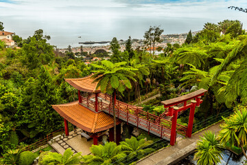 Fototapeta na wymiar A view down to the sea from the tropical garden above the city of Funchal Madeira