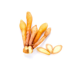finger root (Krachai) Thai herb on white background