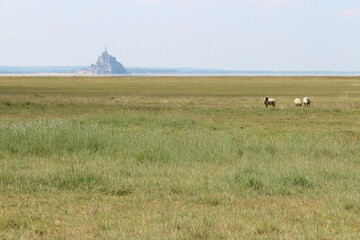 mont-saint-michel bay in normandy (france) 