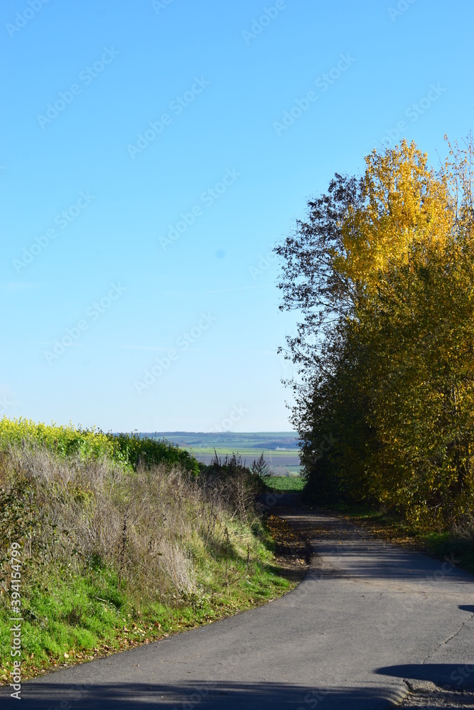 Wall mural landstraße durch herbstliche eifellandschaft