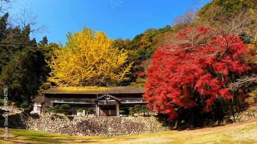紅葉 廃校の木造校舎 香川県綾歌郡 Wall Mural Wallpaper Murals Kozo