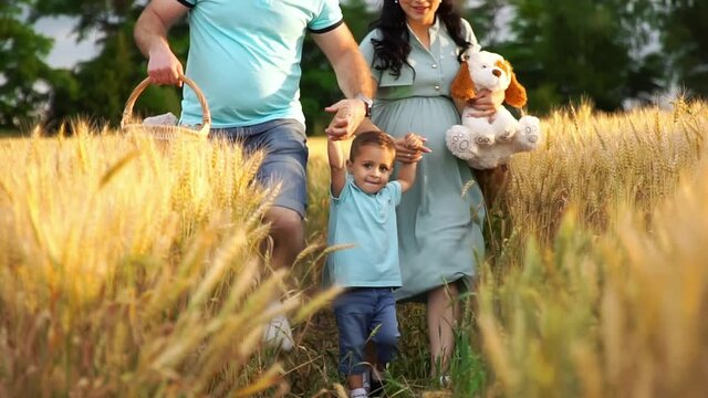 Mom and dad are raising up their son holding his hands at the wheat field. Family with two kids are walking in the high yellow grass. The conception of family rest and outdoors leisure.