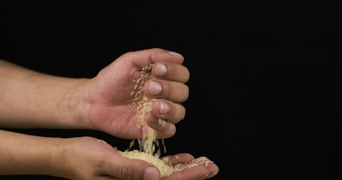 Rice grain is poured from the farmer's palm into the farmer's palm. Seeds dropping from farmer's hands.