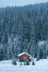 Snowing in autumn, Corvara in Badia, Dolomites, Unesco World Heritage Site, Italy, Europe