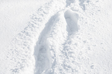 White snow winter texture with footprints. Christmas holiday light background. Seasonal fresh white snow nature backdrop wallpaper. Crisp snow with steps traces on sunny day outdoors.