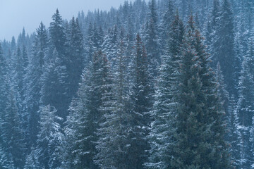 Snowing in autumn, Corvara in Badia, Dolomites, Unesco World Heritage Site, Italy, Europe