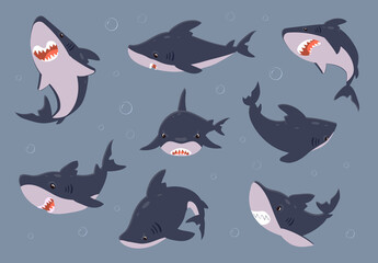 Cartoon shark. Sea fish swimming in water. Dangerous predator with open toothy mouth. Collection of underwater animal view from different sides. Attention warning sign template. Vector ocean fauna set