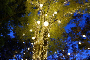 国営武蔵丘陵森林公園のイルミネーション