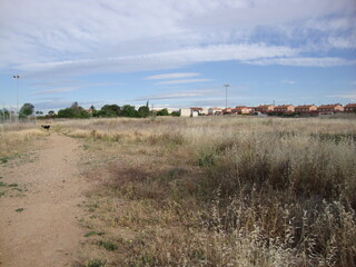 llano