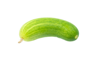 fresh cucumber  on white background closeup