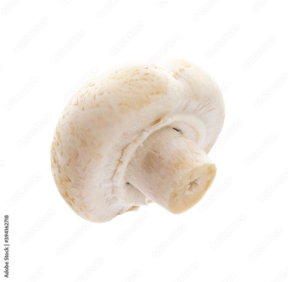 Wall mural champignon isolated on a white background.