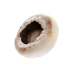Fototapeta premium champignon isolated on a white background.